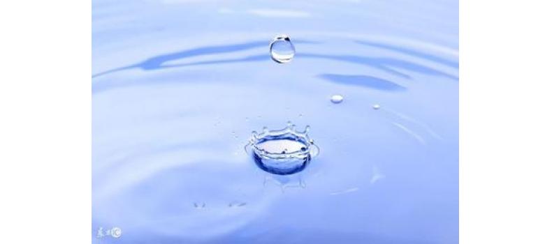 養(yǎng)蝦先養(yǎng)水！養(yǎng)水的關(guān)鍵核心原來是它！